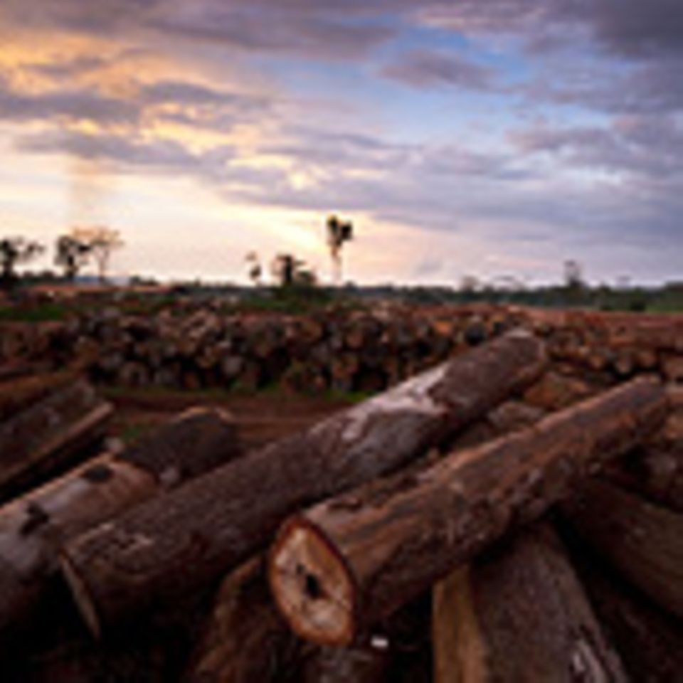 WWF-Report: Der versklavte Planet