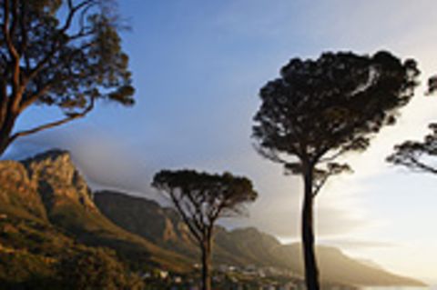 Reiseziel: Südafrika