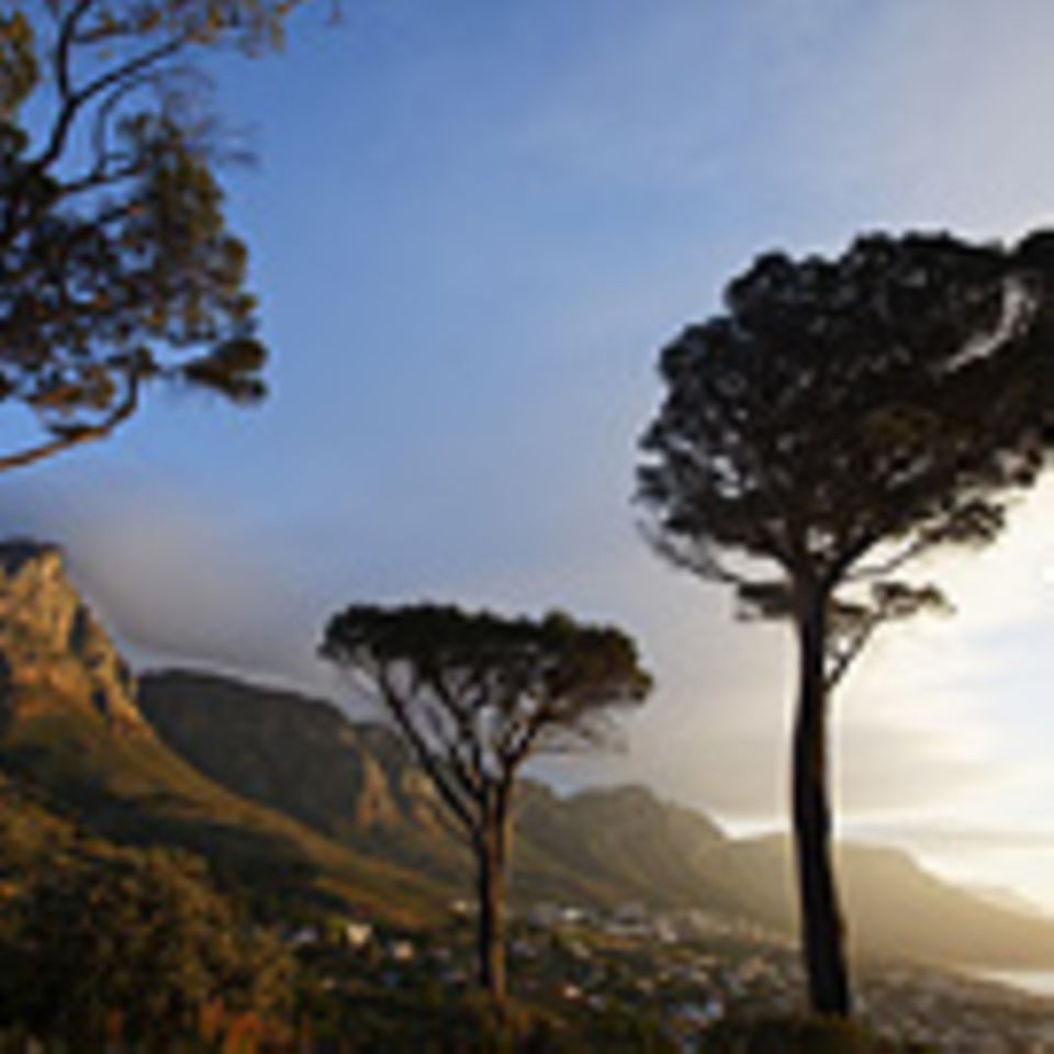 Reiseziel: Südafrika