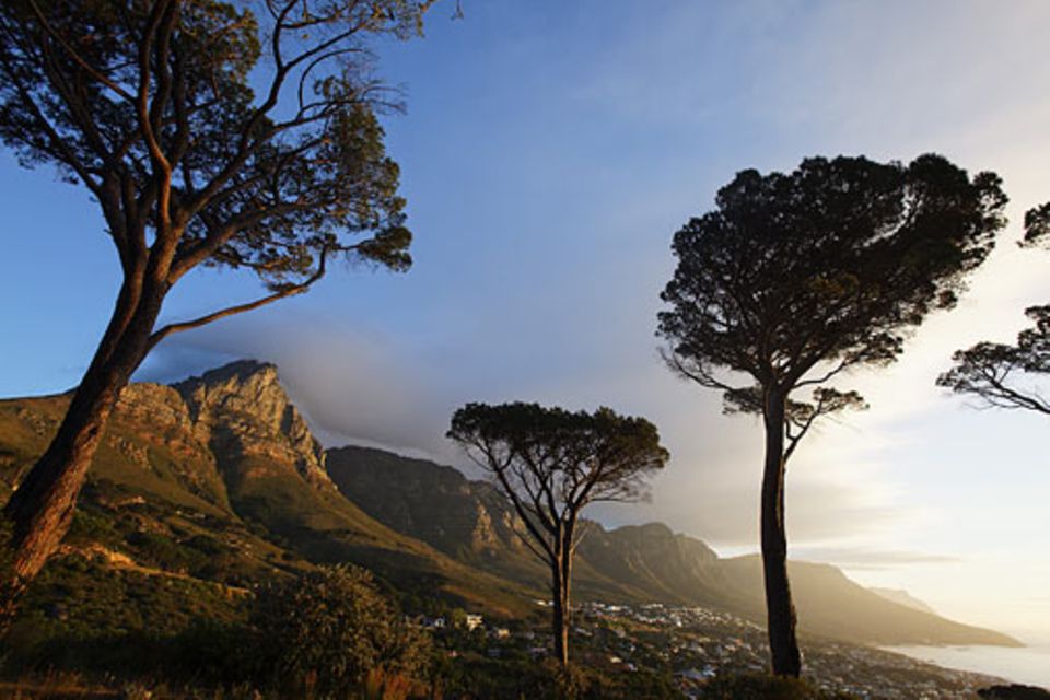 Reiseziel: Südafrika