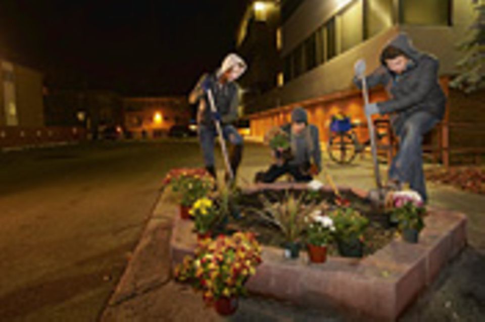 Guerilla Gardening: Stadtrebellen mit Saatgut