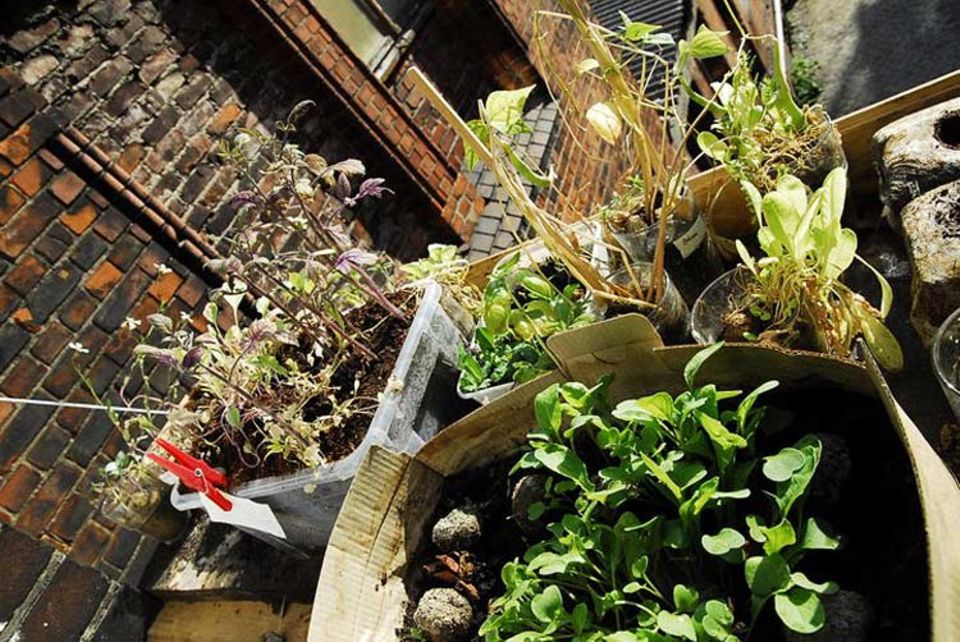 Guerilla Gardening: Nicht immer geht es nur um das Pflanzen von Blumen. Auch der Anbau von Gemüse und Kräutern wird immer beliebter Guerilla Gardening: Nicht immer geht es nur um das Pflanzen von Blumen. Auch der Anbau von Gemüse und Kräutern wird immer beliebter