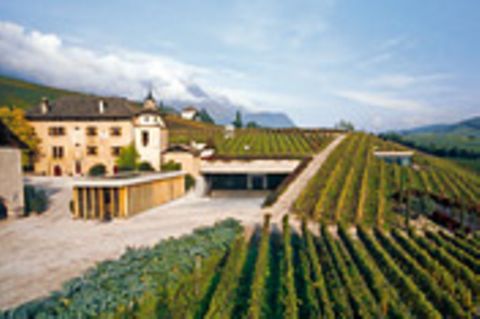 Südtirols Weinkönige