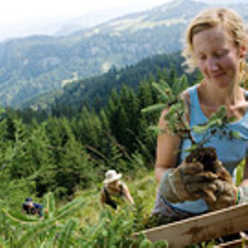 Bergwaldprojekt: Urlaub in Gummistiefeln
