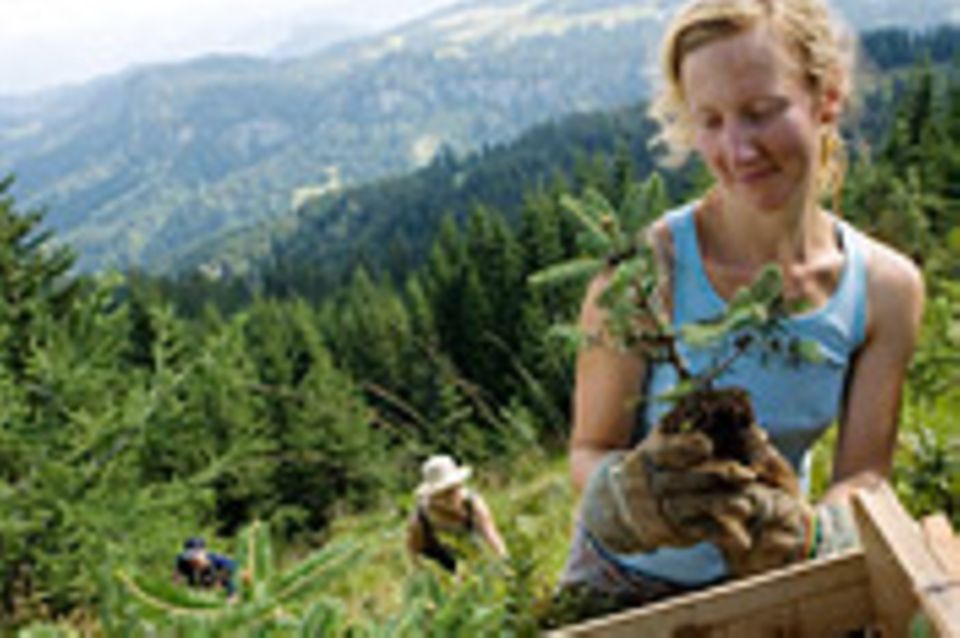 Bergwaldprojekt: Urlaub in Gummistiefeln