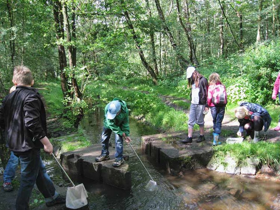Aqua-Agenten: Mit Keschern suchen die Aqua-Agenten Tiere im Bach auf Aqua-Agenten: Mit Keschern suchen die Aqua-Agenten Tiere im Bach auf