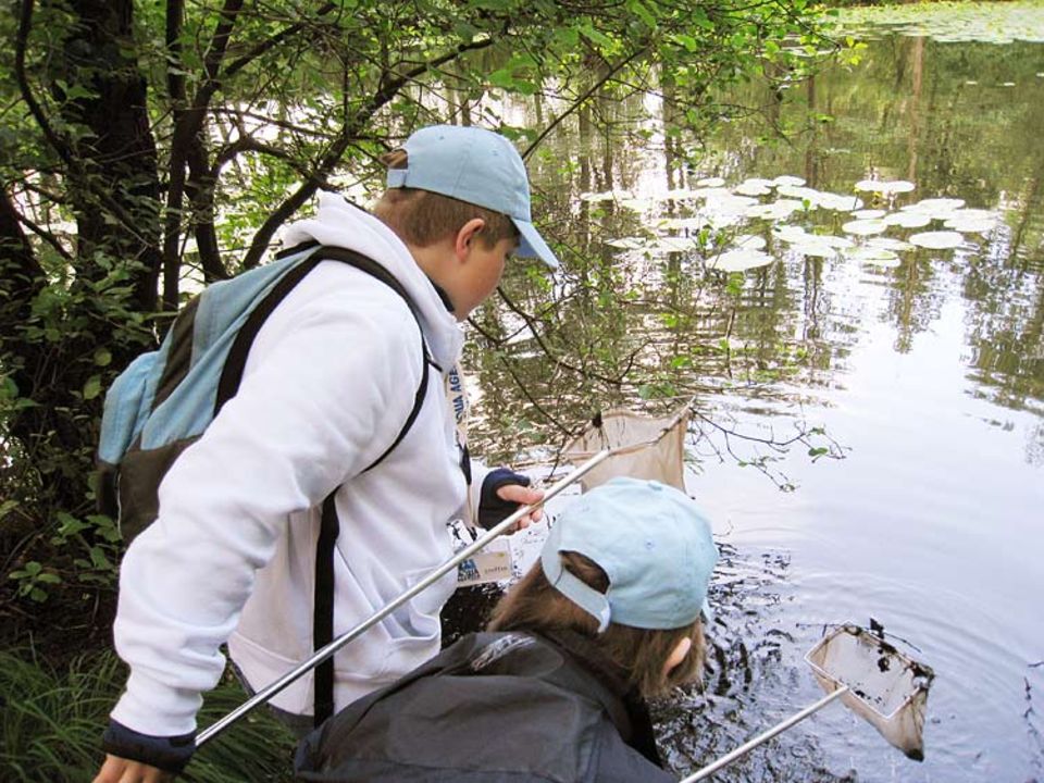 Aqua-Agenten: Auch im Teich suchen sie nach Wasserbewohnern Aqua-Agenten: Auch im Teich suchen sie nach Wasserbewohnern