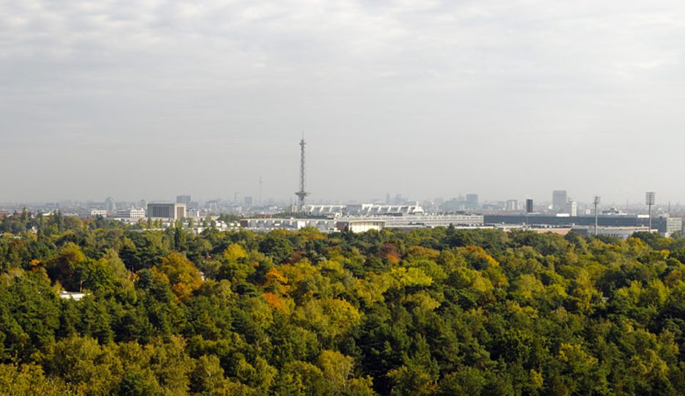 Naturschutz: Die Abgase der Braunkohlekraftwerke in der damaligen DDR schädigten den Waldboden im Berliner Grunewald Naturschutz: Die Abgase der Braunkohlekraftwerke in der damaligen DDR schädigten den Waldboden im Berliner Grunewald
