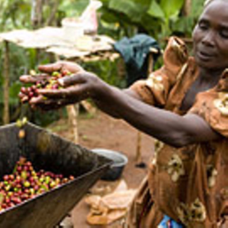 Fairtrade: Fairtrade: Fair kommt an