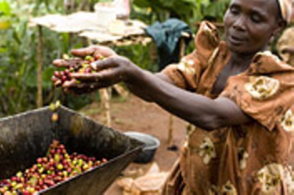 Fairtrade: Fairtrade: Fair kommt an
