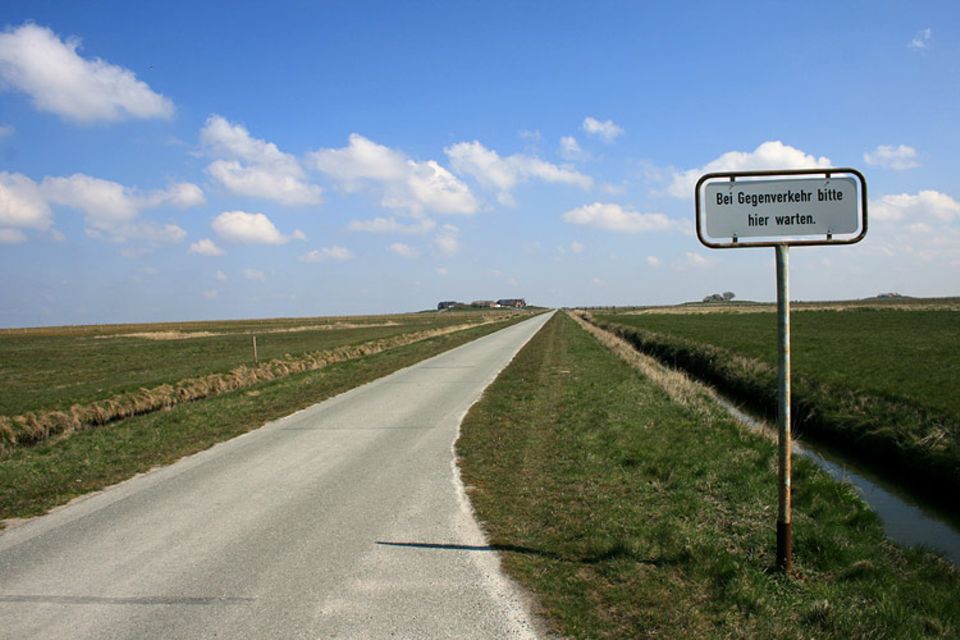 Naturtalente: Viel Verkehr gibt es auf Langeneß nicht - da reichen einspurige Straßen Naturtalente: Viel Verkehr gibt es auf Langeneß nicht - da reichen einspurige Straßen