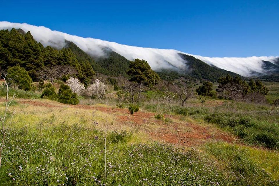 Wolkenwasserfall: Bei diesem Naturschauspiel auf La Palma schiebt der Wind Regenwolken über einen Höhenzug, der die Insel durchzieht. GEO-Leser Markus Montag aus Saarbrücken gewinnt mit dem Foto den GEO.de-Wettbewerb im September Wolkenwasserfall: Bei diesem Naturschauspiel auf La Palma schiebt der Wind Regenwolken über einen Höhenzug, der die Insel durchzieht. GEO-Leser Markus Montag aus Saarbrücken gewinnt mit dem Foto den GEO.de-Wettbewerb im September