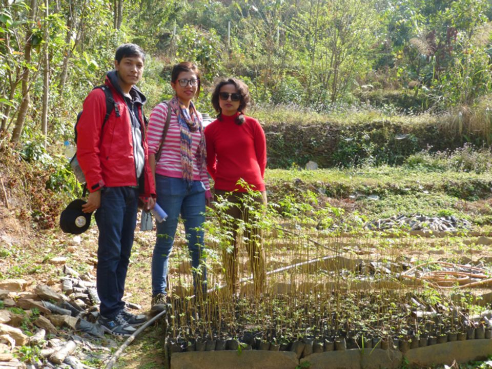 Teammitarbeiter Munindra Bajracharya, Medina Shakya und Tripti Kharel 2014 beim Besuch der Baumschule Simle Teammitarbeiter Munindra Bajracharya, Medina Shakya und Tripti Kharel 2014 beim Besuch der Baumschule Simle