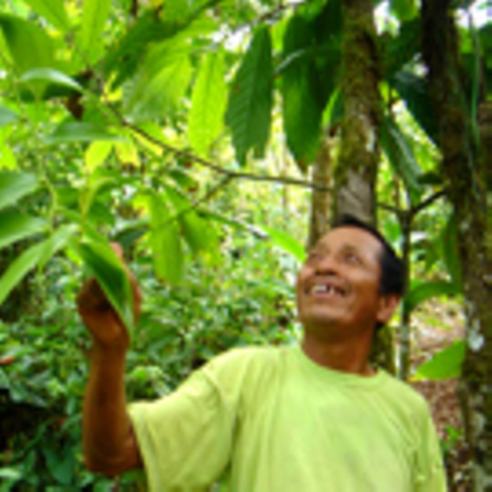 Ecuador: Waldschutz und Einkommensförderung am Río Napo