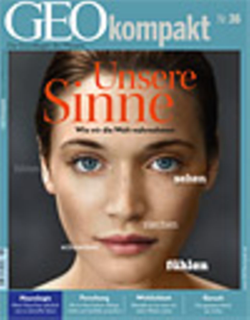 GEOkompakt Archivbereich: Bestellen Abonnieren