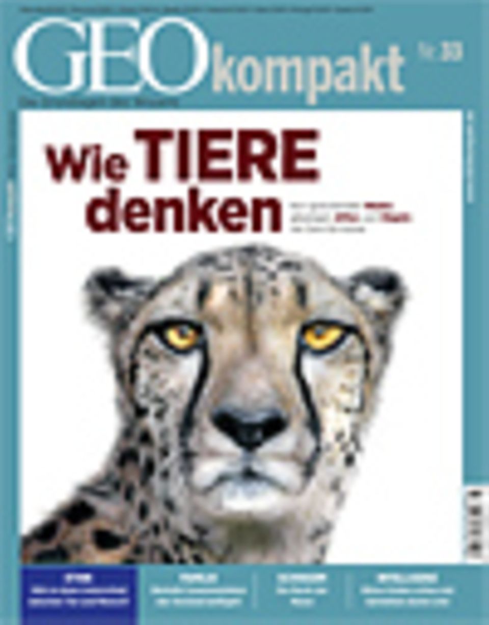 GEOkompakt Archivbereich: Bestellen Abonnieren