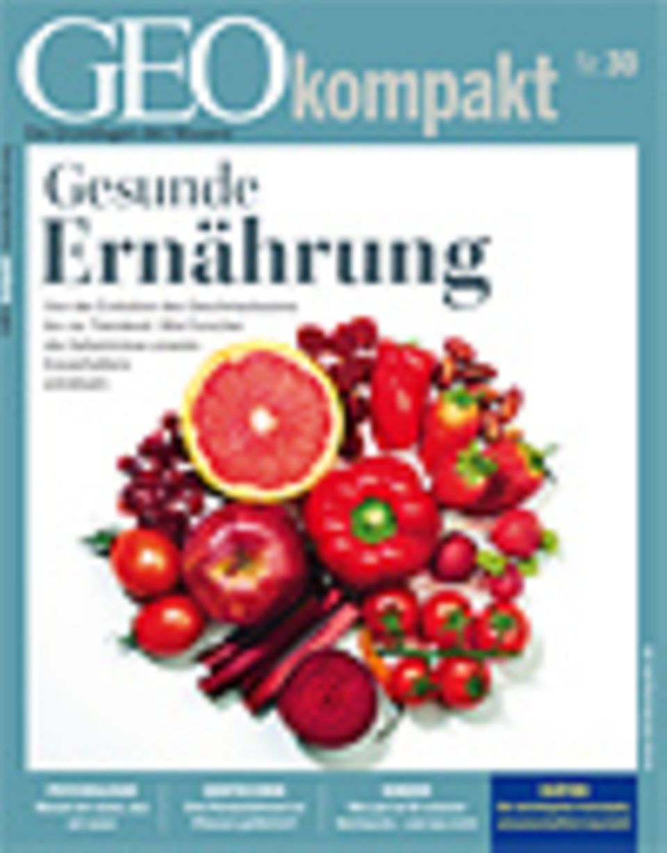 GEOkompakt Archivbereich: Bestellen Abonnieren