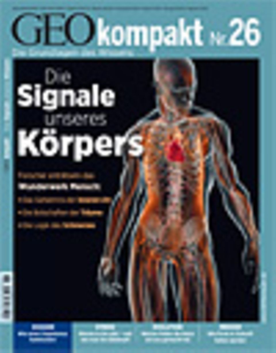 GEOkompakt Archivbereich: Bestellen Abonnieren