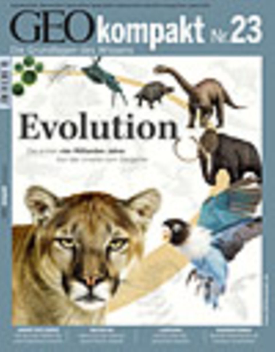 GEOkompakt Archivbereich: - vergriffen - Abonnieren