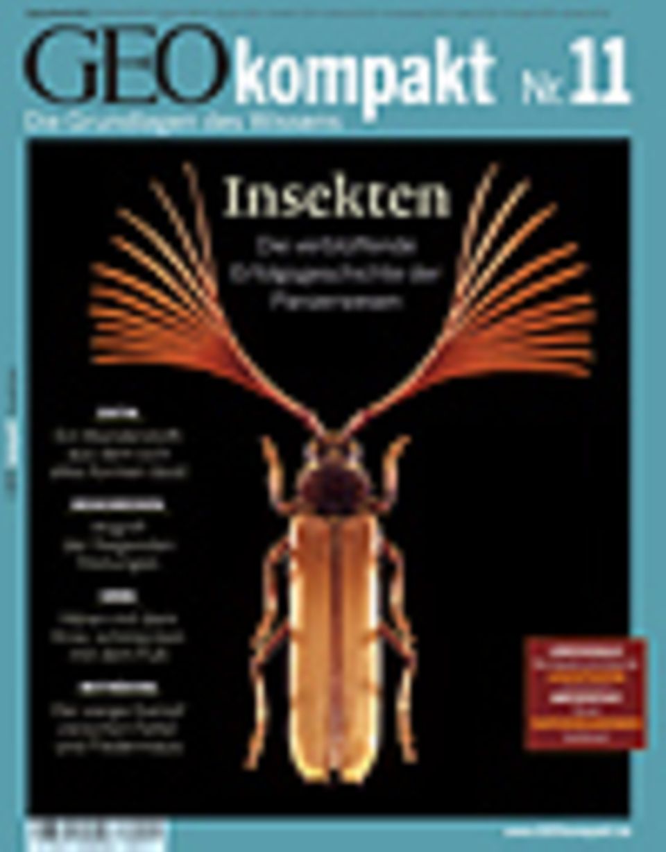 GEOkompakt Archivbereich: - vergriffen - Abonnieren