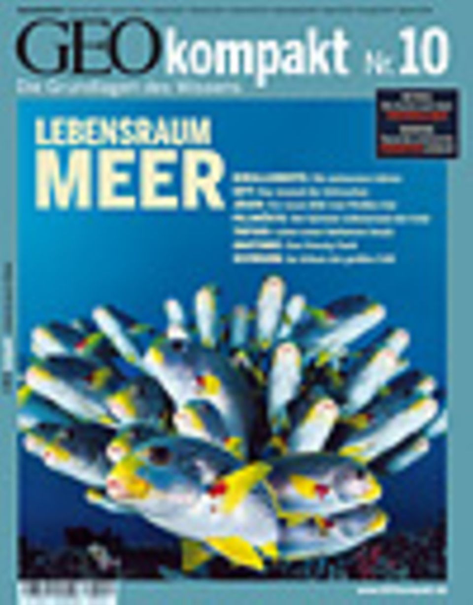 GEOkompakt Archivbereich: - vergriffen - Abonnieren