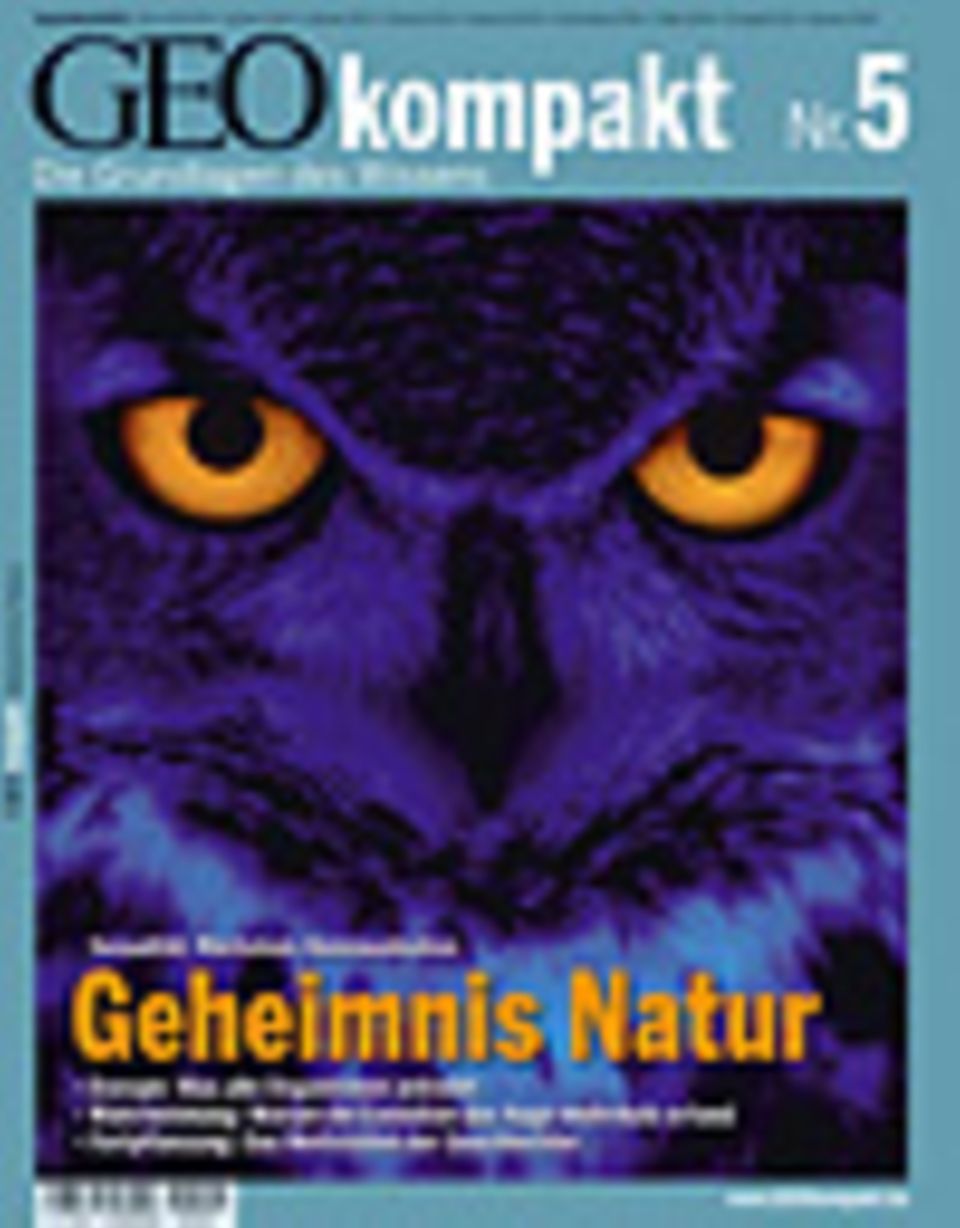 GEOkompakt Archivbereich: Bestellen Abonnieren