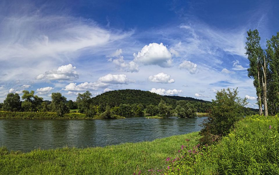 Umweltschutz: Sensibles Ökosystem: die Auen an der Mündung der Isar in die Donau Umweltschutz: Sensibles Ökosystem: die Auen an der Mündung der Isar in die Donau