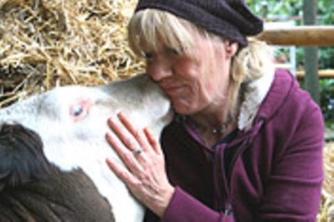 Kuh-Altersheim: Animal Farm