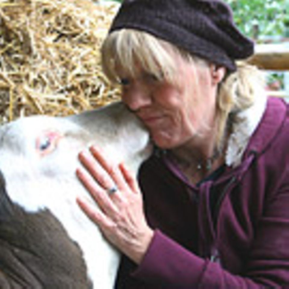 Kuh-Altersheim: Animal Farm