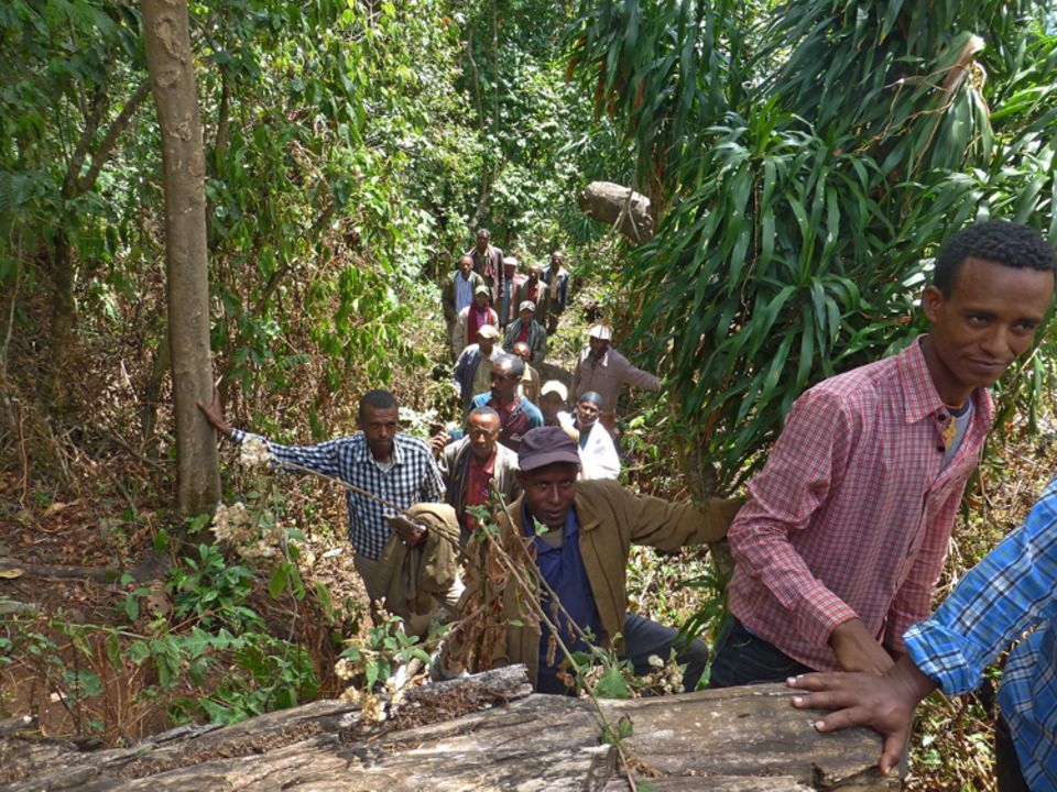 Mitglieder der PFM-Gruppe Addis Berhan bei der Begehung des von ihnen genutzten und geschützten Waldgebiets Mitglieder der PFM-Gruppe Addis Berhan bei der Begehung des von ihnen genutzten und geschützten Waldgebiets