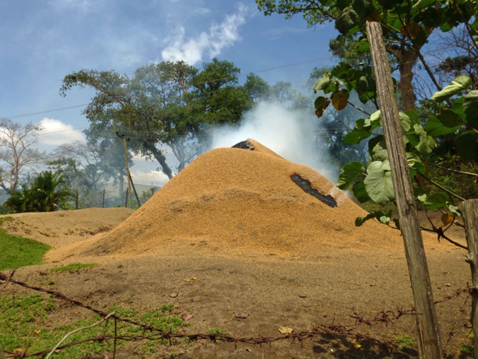 Dieser Berg von Kaffeeabfällen kokelt neben dem Kaffeeschälzentrum von Bonga vor sich hin Dieser Berg von Kaffeeabfällen kokelt neben dem Kaffeeschälzentrum von Bonga vor sich hin