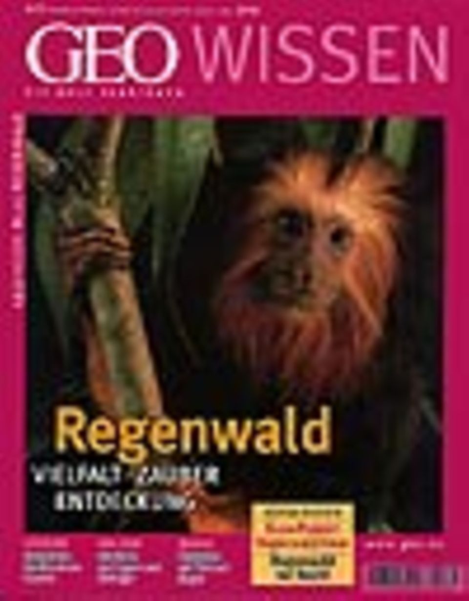 GEO WISSEN Archivbereich: - vergriffen - Abonnieren GEO WISSEN Archivbereich: - vergriffen - Abonnieren