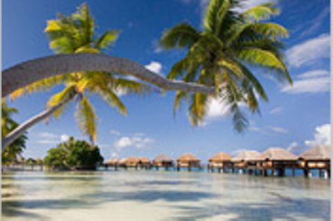 Reisephänomene: Urlaubszeit