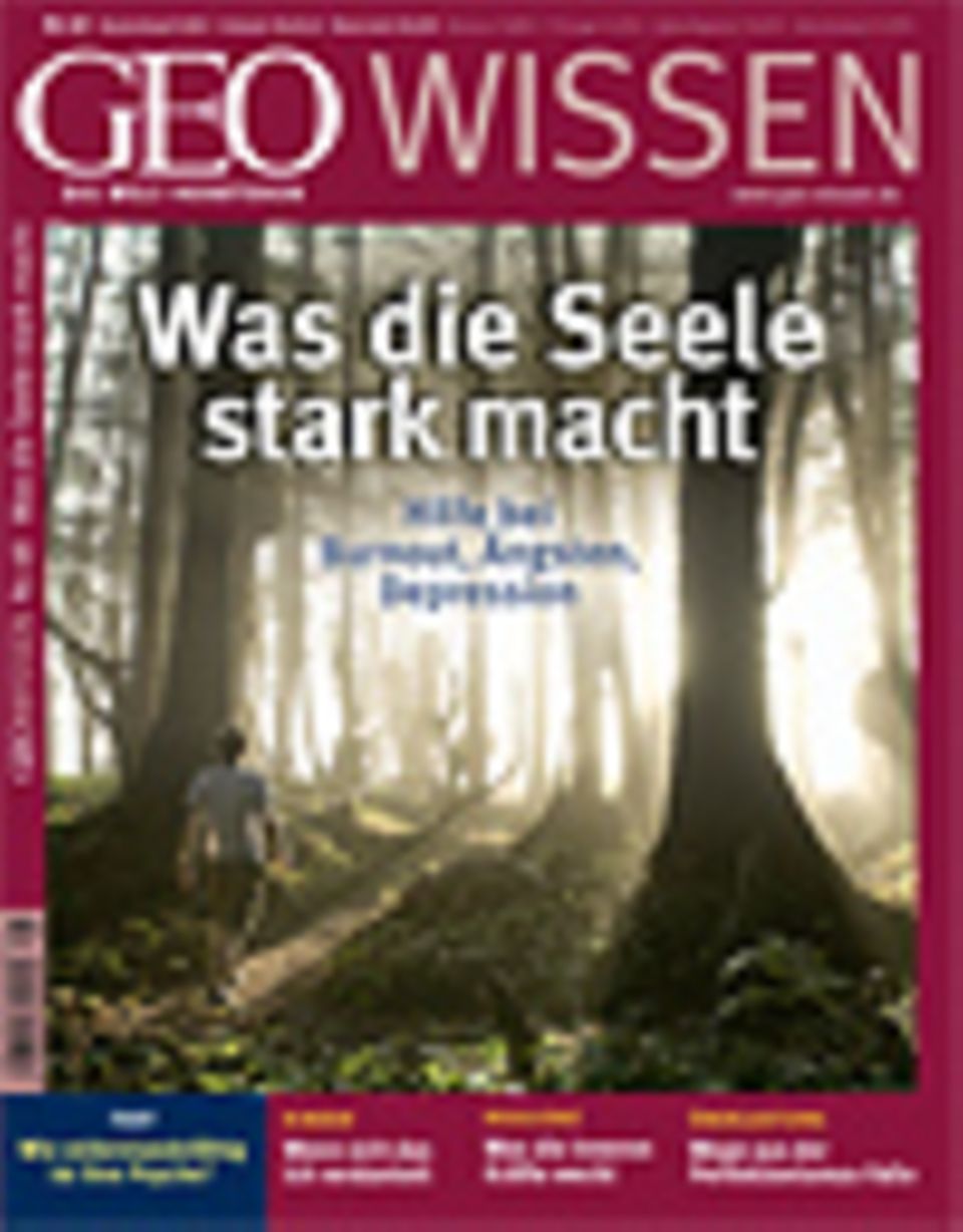 Zum Heftinhalt Bestellen