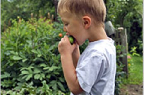 "Wenn Kinder gärtnern, essen sie plötzlich auch Gemüse"