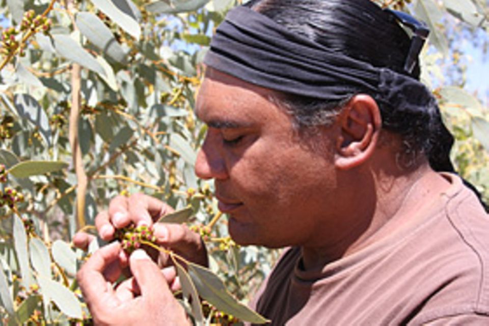 Der australische Spitzenkoch Mark Olive will seine Landsleute für den Geschmack der einheimischen Küche begeistern