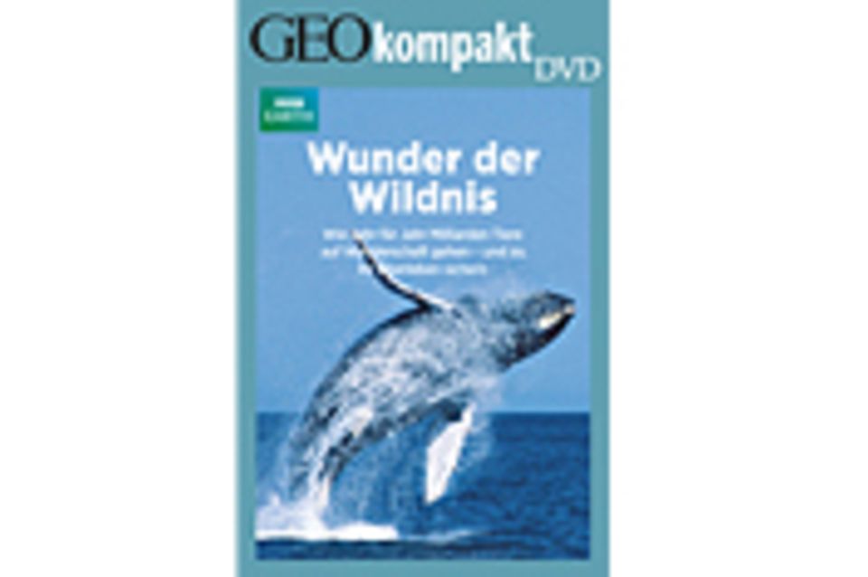GEOkompakt-DVD: Wunder der Wildnis