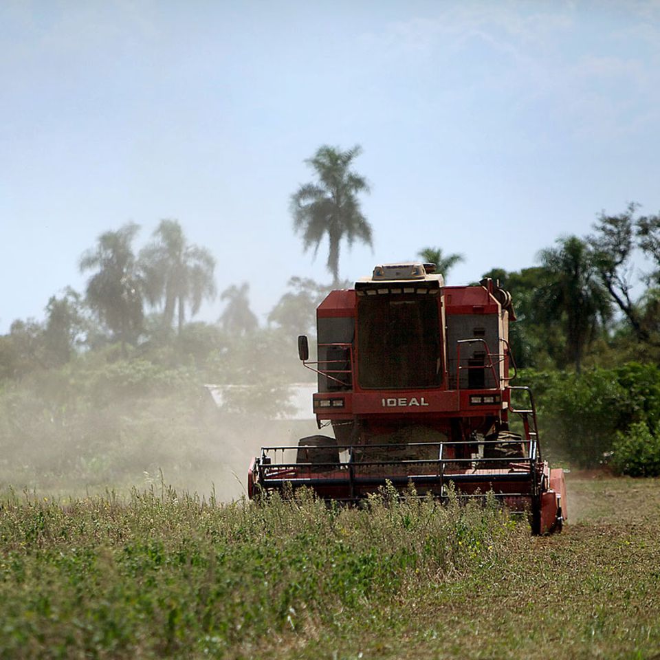 Ressourcenverbrauch: Europas großer Landhunger