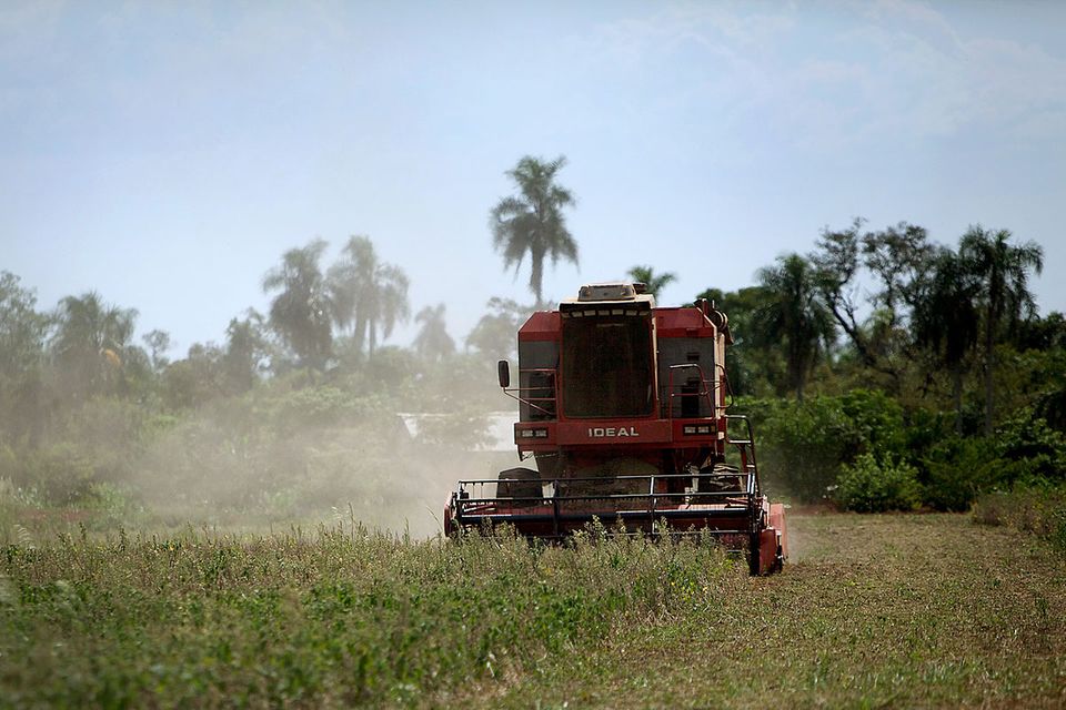 Ressourcenverbrauch: Europas großer Landhunger