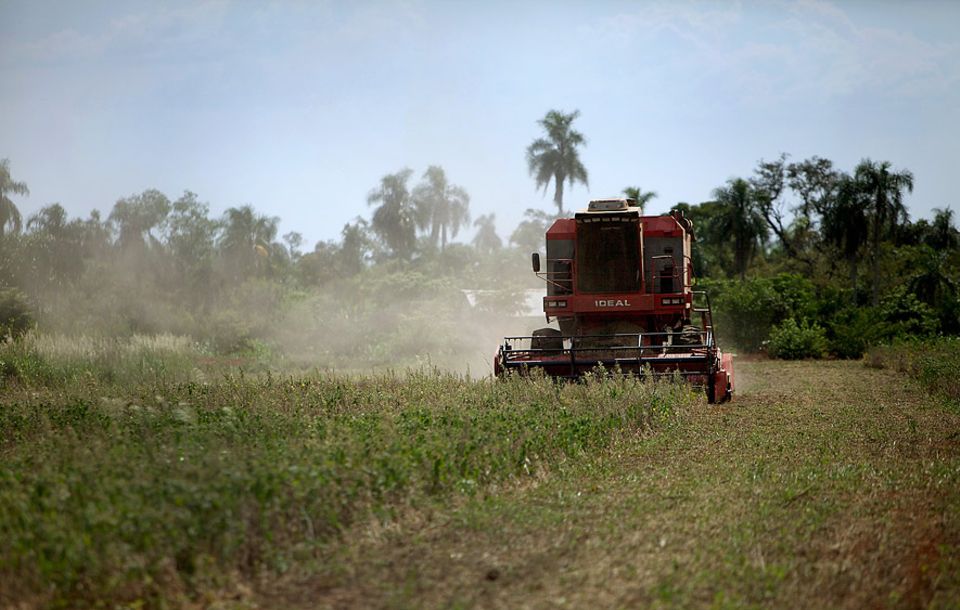 Ressourcenverbrauch: In den vergangenen 30 Jahren haben sich die Soja-Anbauflächen in Paraguay verfünffacht - auf Kosten des Regenwaldes. Die Soja-Pflanzen: gentechnisch verändert. Wichtigster Abnehmer: die EU