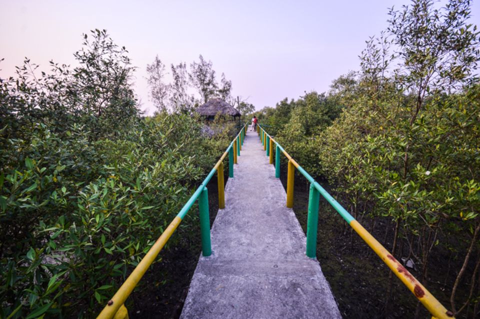 Die Renovierung des Mangrovenbesucherparks auf Satjalia 2015