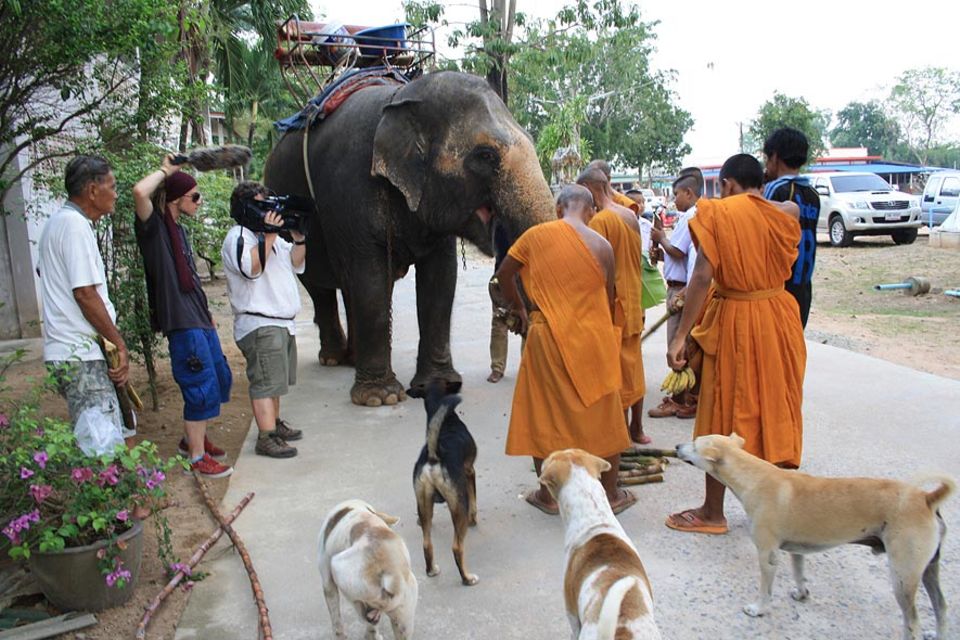 Mahout Non Yamdee und Elefantendame Poon Thap beim Besuch im Tempel - das GEO-TV-Team in Aktion Mahout Non Yamdee und Elefantendame Poon Thap beim Besuch im Tempel - das GEO-TV-Team in Aktion