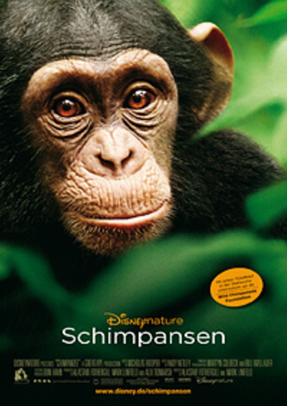 FILMKRITIK: "Schimpansen" kommt am 9. Mai 2013 in die Kinos FILMKRITIK: "Schimpansen" kommt am 9. Mai 2013 in die Kinos