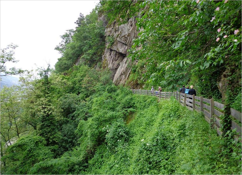 Wandern in Südtirol: Den Marlinger Waalweg schaffen auch Wanderanfänger gut in ein paar Stunden Wandern in Südtirol: Den Marlinger Waalweg schaffen auch Wanderanfänger gut in ein paar Stunden