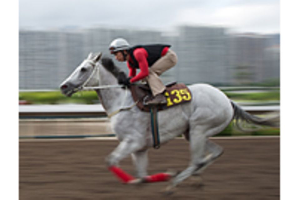 Hongkong Jockey Club: Das Rennpferd und die blauen Pumps