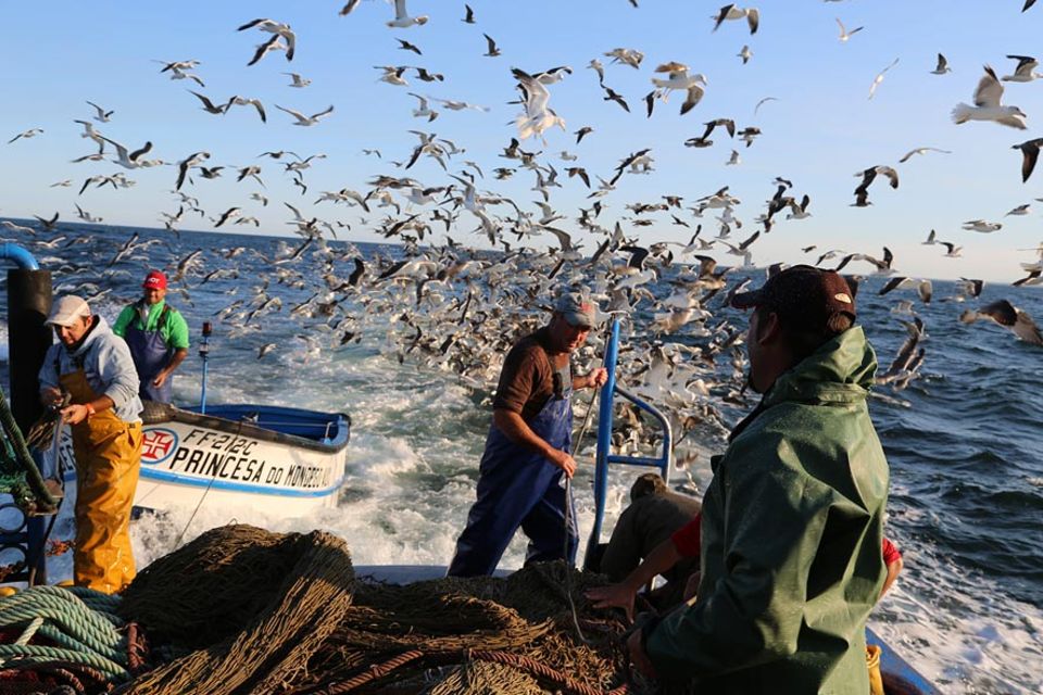Die „Princesa do Mondego“ auf Fischfang vor der Küste von Figueira da Foz Die „Princesa do Mondego“ auf Fischfang vor der Küste von Figueira da Foz