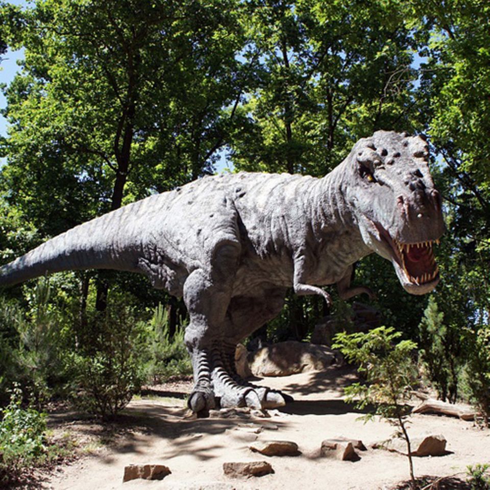 Dinosaurier