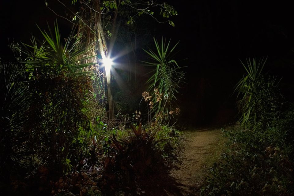 Lichtverschmutzung: Wo der Mensch Licht ins Dunkel bringt - können Ökosysteme aus dem Takt geraten
