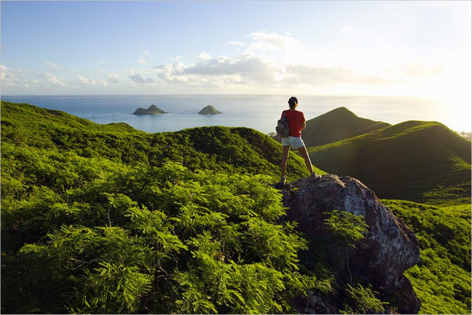 Ratgeber: Traumziel Hawaii! Mit unseren Tipps zur Buchung von günstigen Flügen wird auch eine teure Fernreise erschwinglich