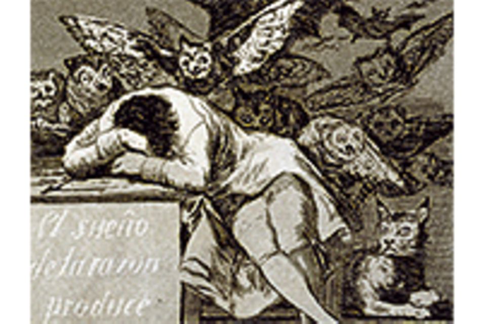 Ein Werk und seine Geschichte: Francisco de Goya: Die "Caprichos"